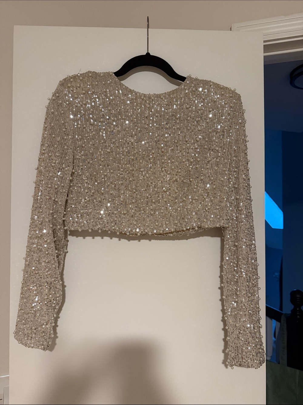 MARBLE Ivory Sequin Cropped Long-Sleeve Top